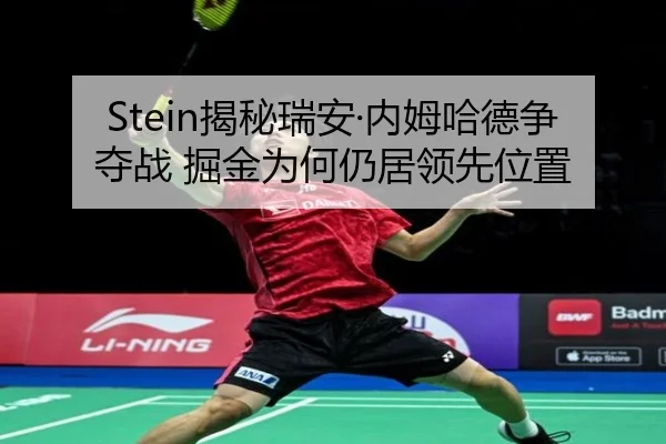 Stein揭秘瑞安·内姆哈德争夺战 掘金为何仍居领先位置